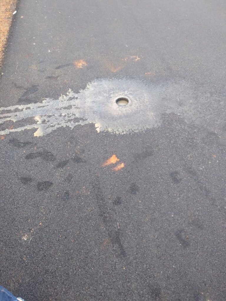 whatsapp image 2025 10 14 at 11.47.19 am